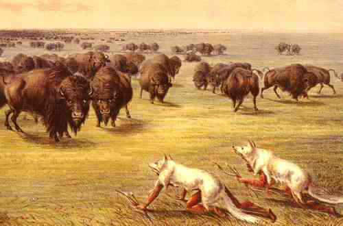 Indian Hunt