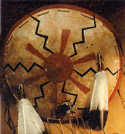Indian Shield