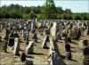 01_Treblinka_ANS.jpg (127089 bytes)