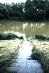 01_ohre_cma.gif (16837 bytes)