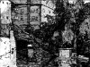 01_tort_cma.gif (25900 bytes)